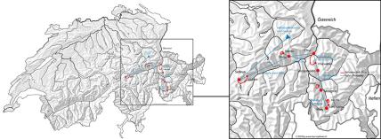 Schneeschuh-Safari Graubünden