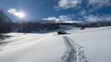 Schneeschuh-Tour Salouf