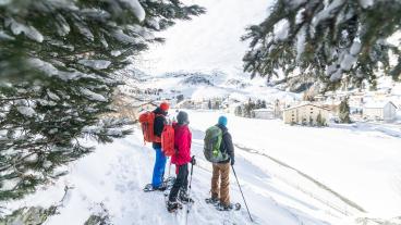 Schneeschuh-Tour Alp Natons, Bivio