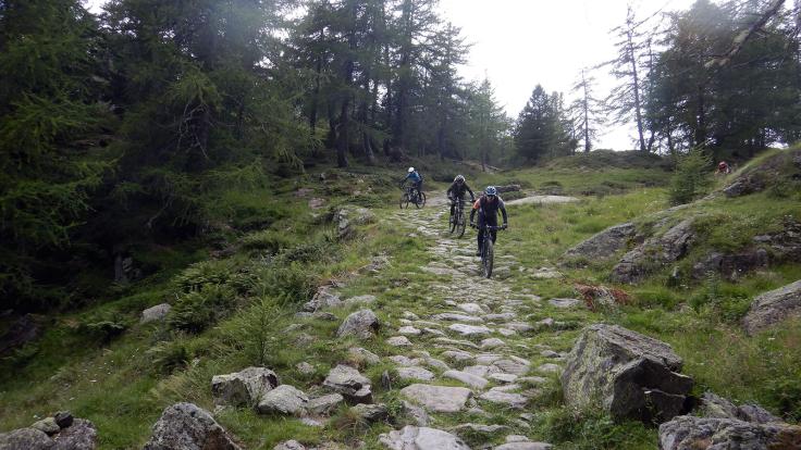 Home of Trails, Davos-Engadin-Cross