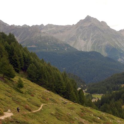 Home of Trails, Davos-Engadin-Cross